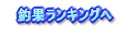 　釣果ランキングへ
